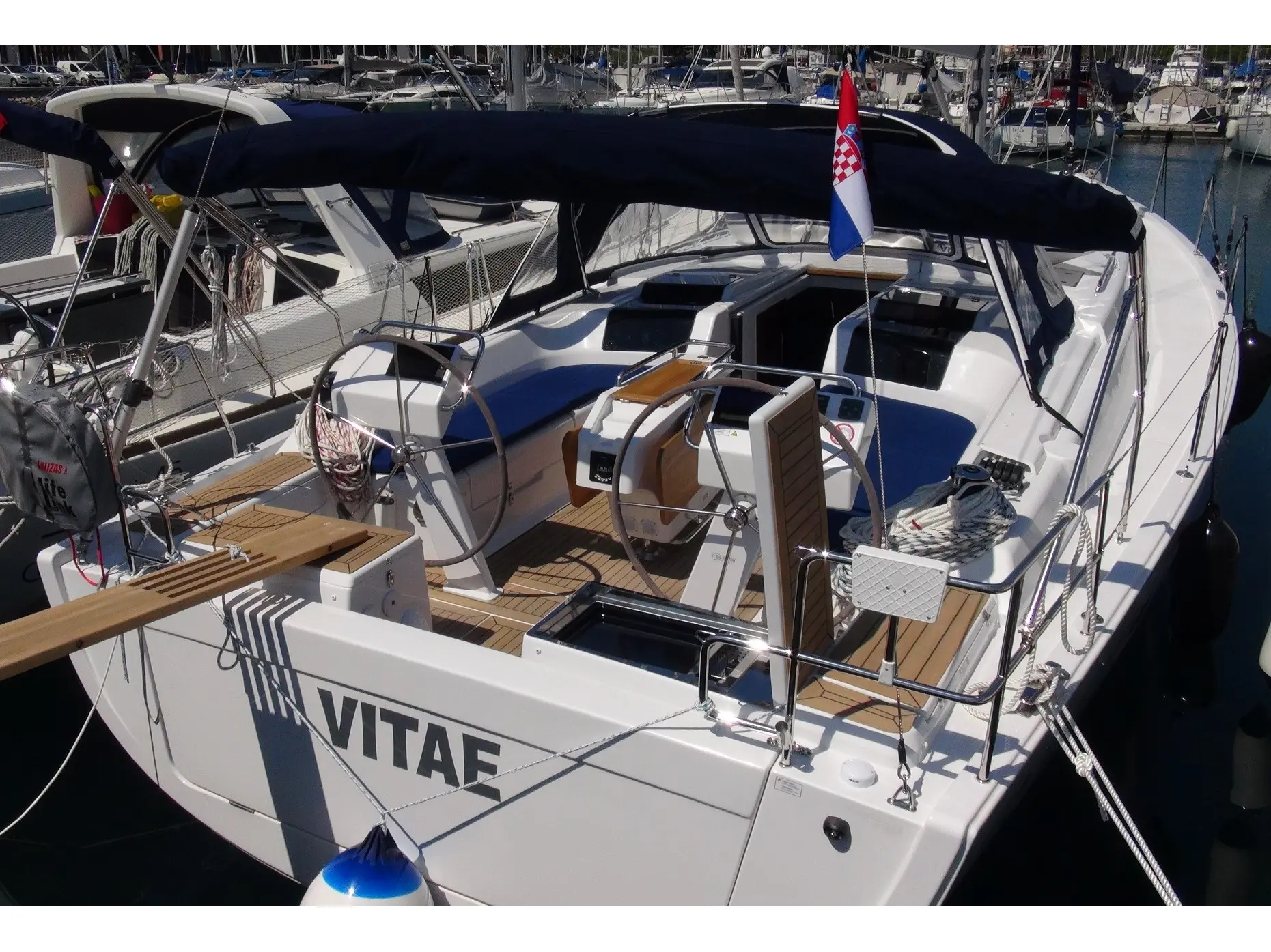 Vitae photo 1