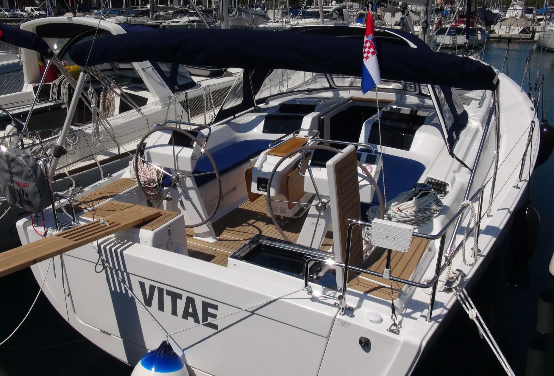 Vitae preview 4