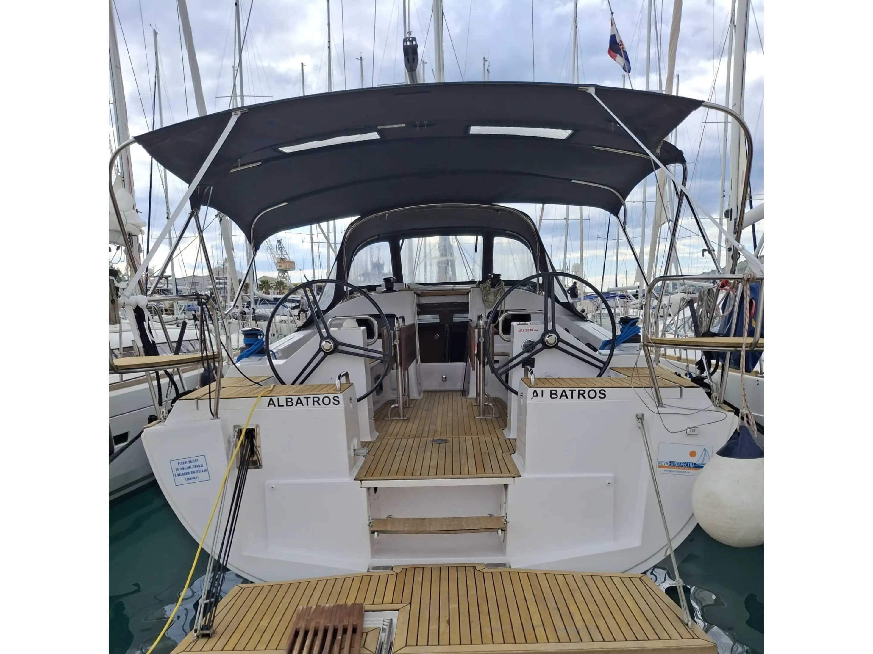 Albatros photo 1