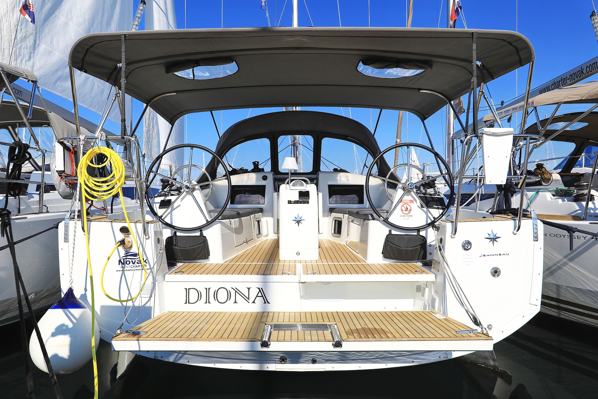Diona photo 1