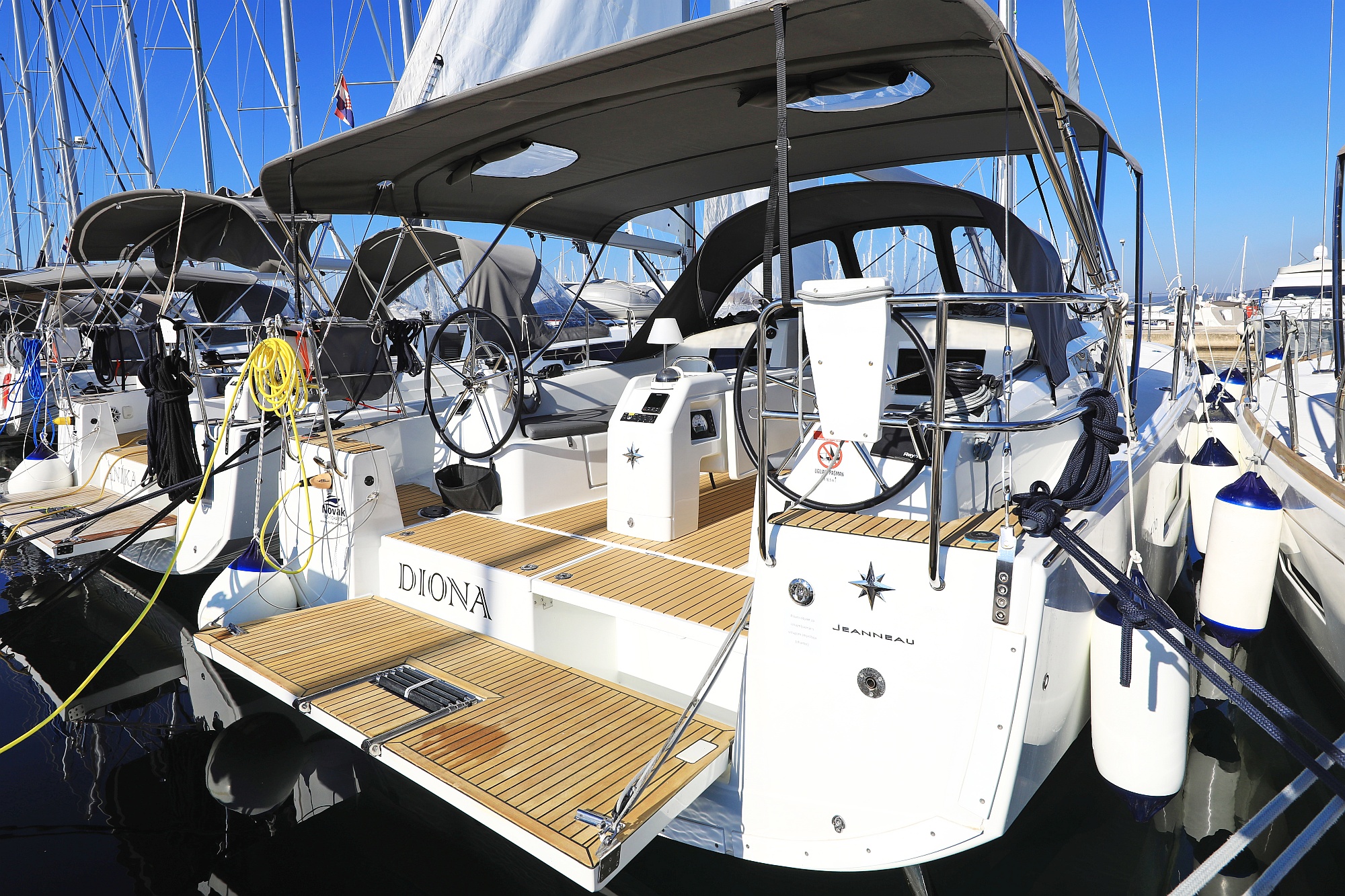 Diona preview 2