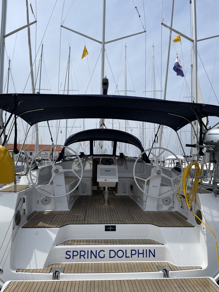 Spring Dolphin preview 3
