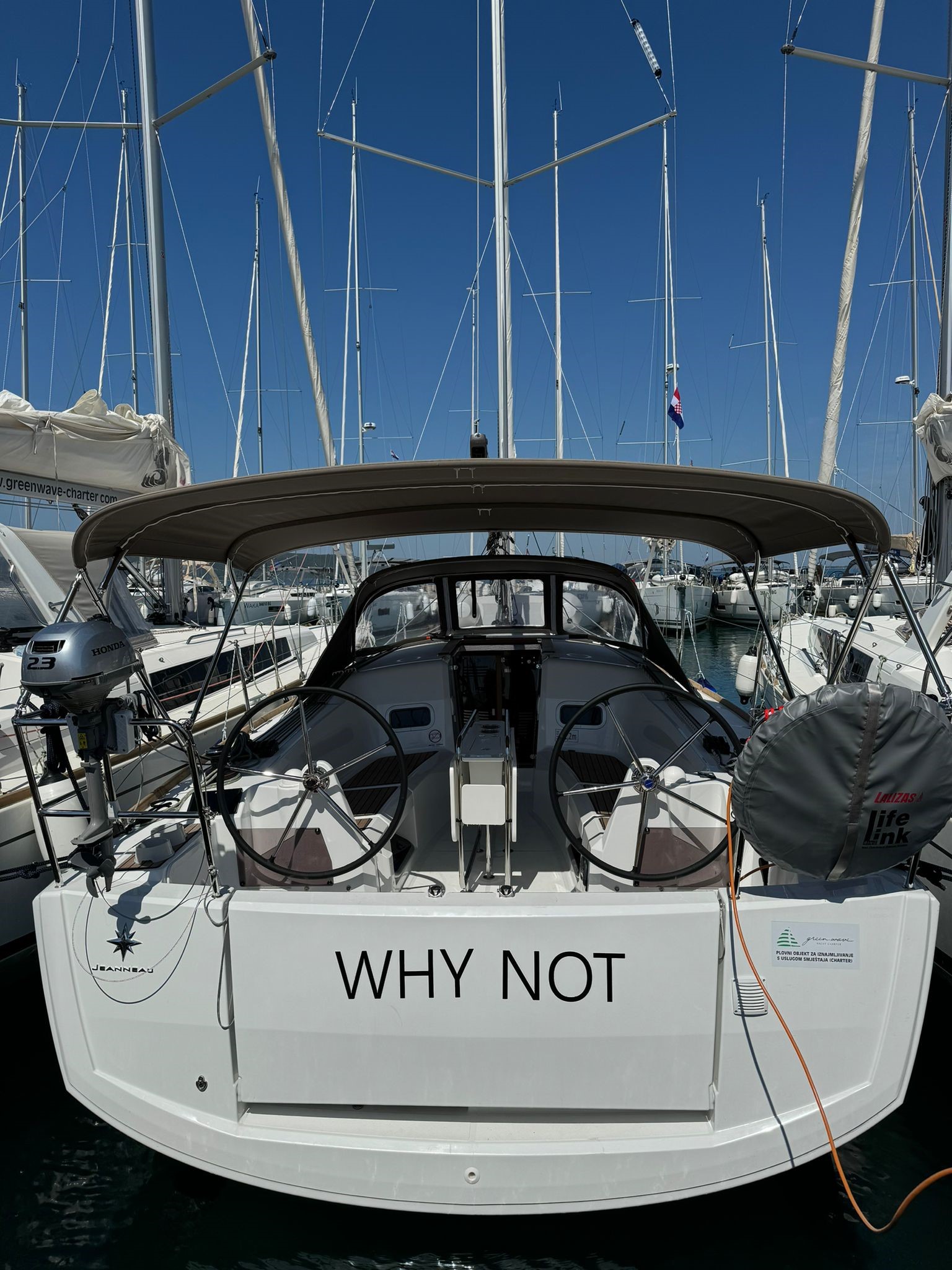 Why Not photo 1