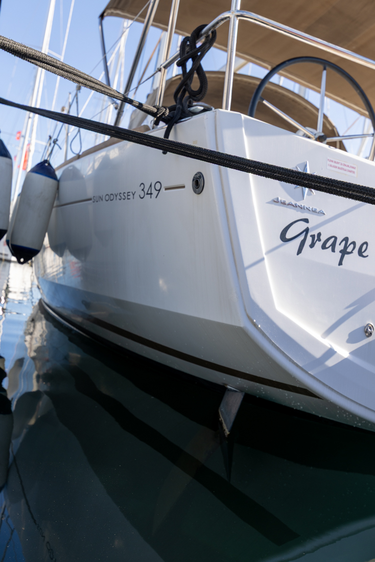 Grape preview 3