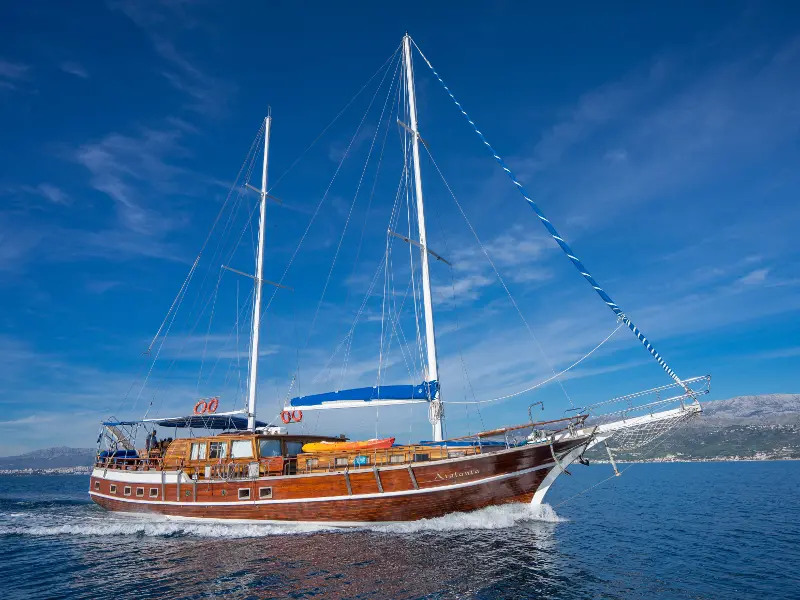 Atalanta photo 1
