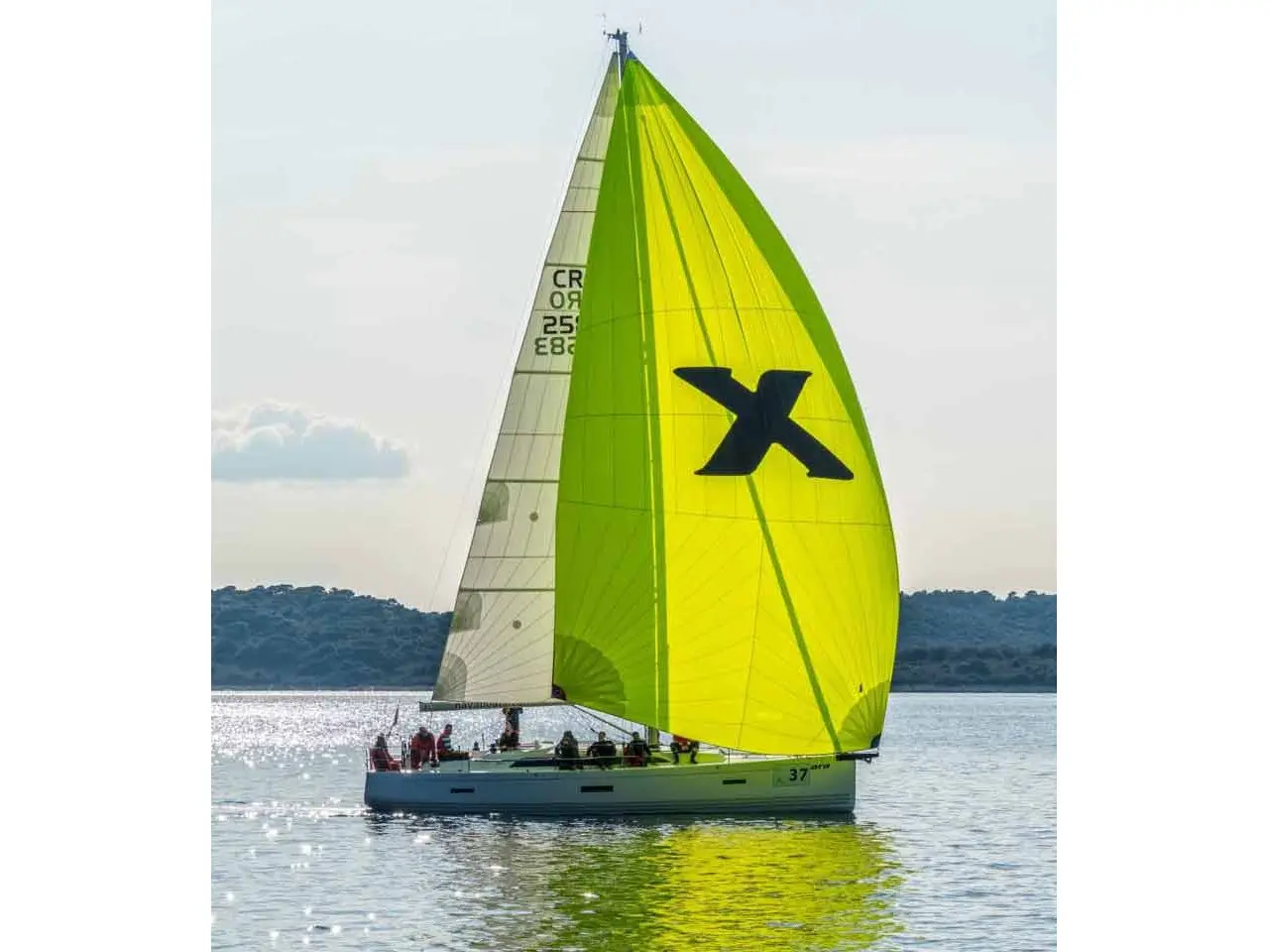 XARA photo 1