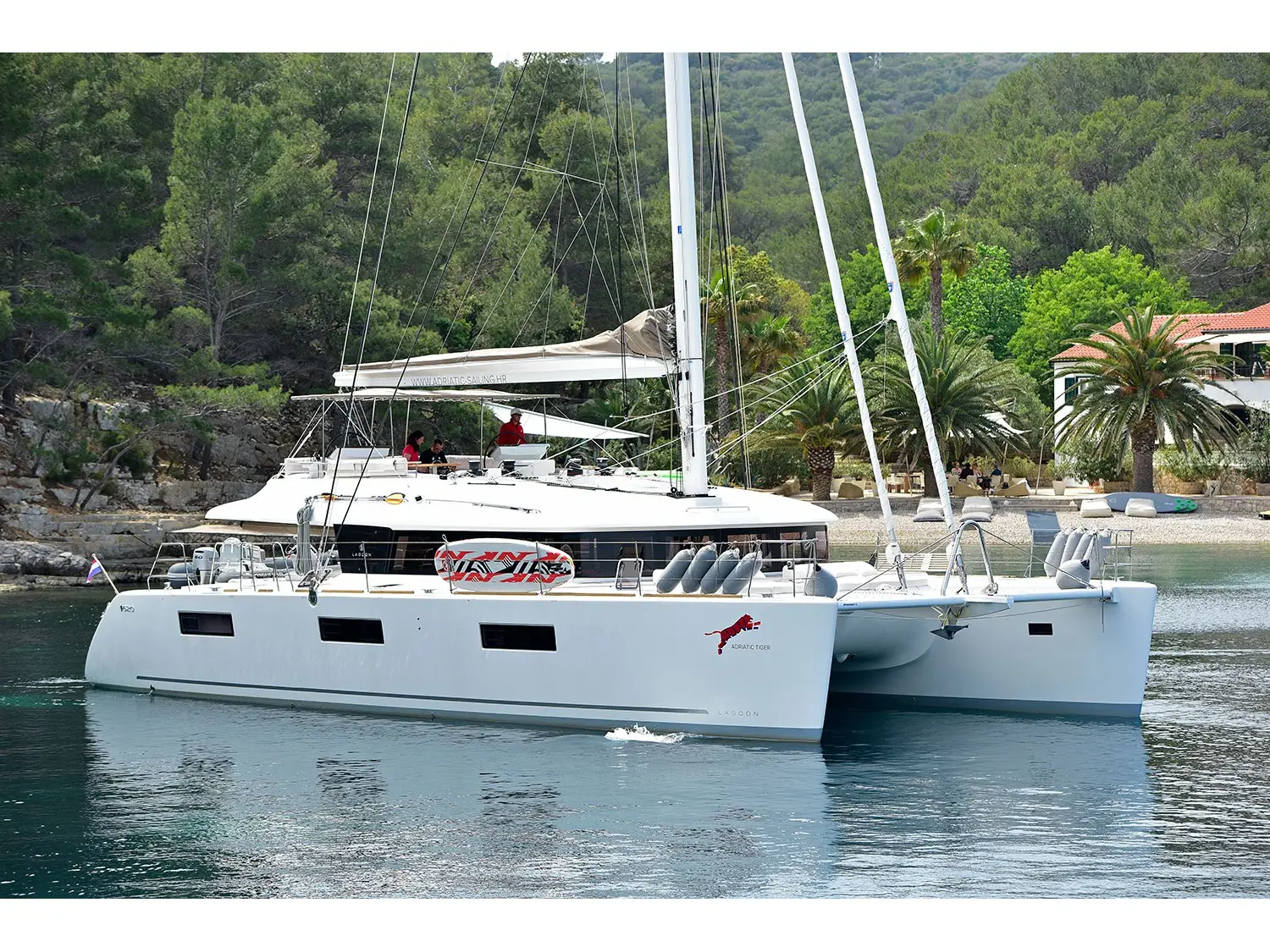ADRIATIC TIGER photo 1