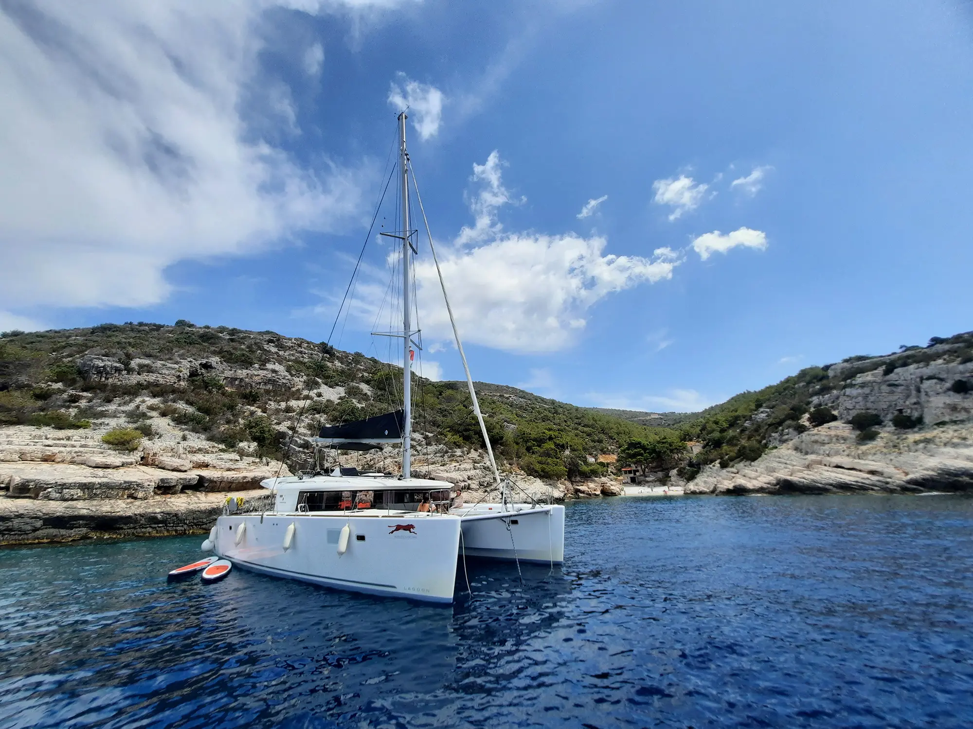ADRIATIC CHEETAH photo 1