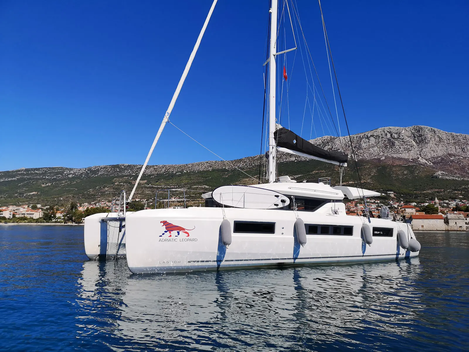 ADRIATIC LEOPARD photo 1