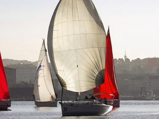 Rhea photo 1