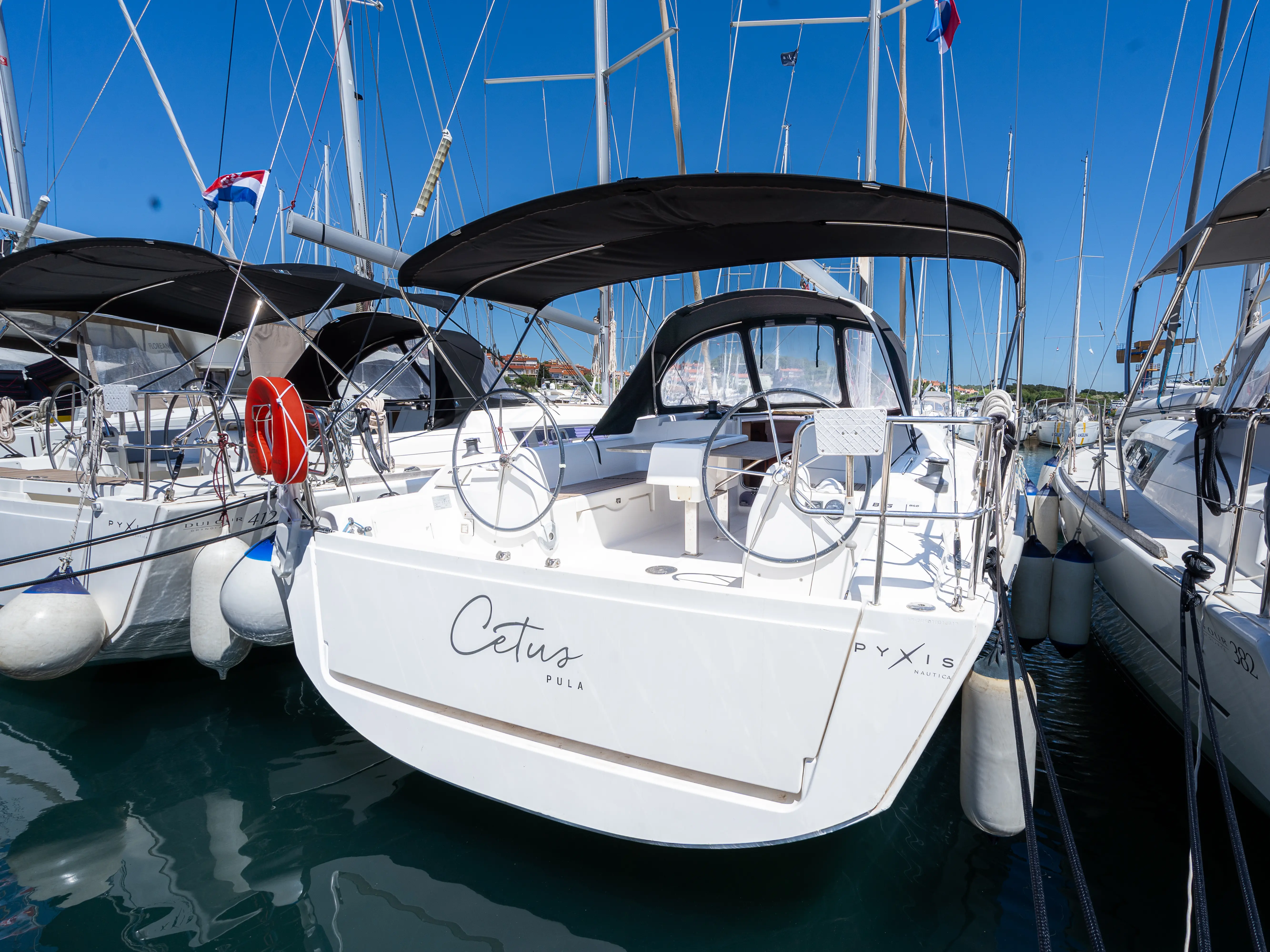 Cetus photo 1