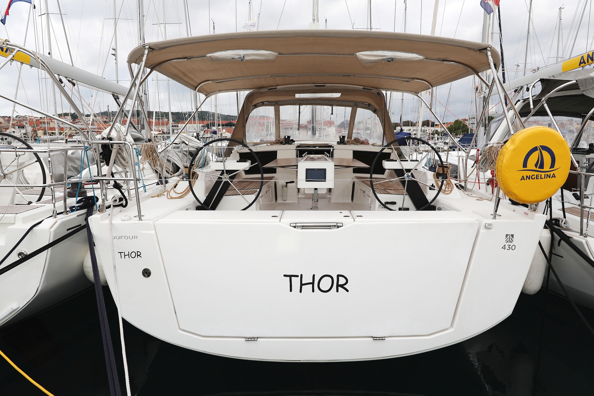 Thor photo 1