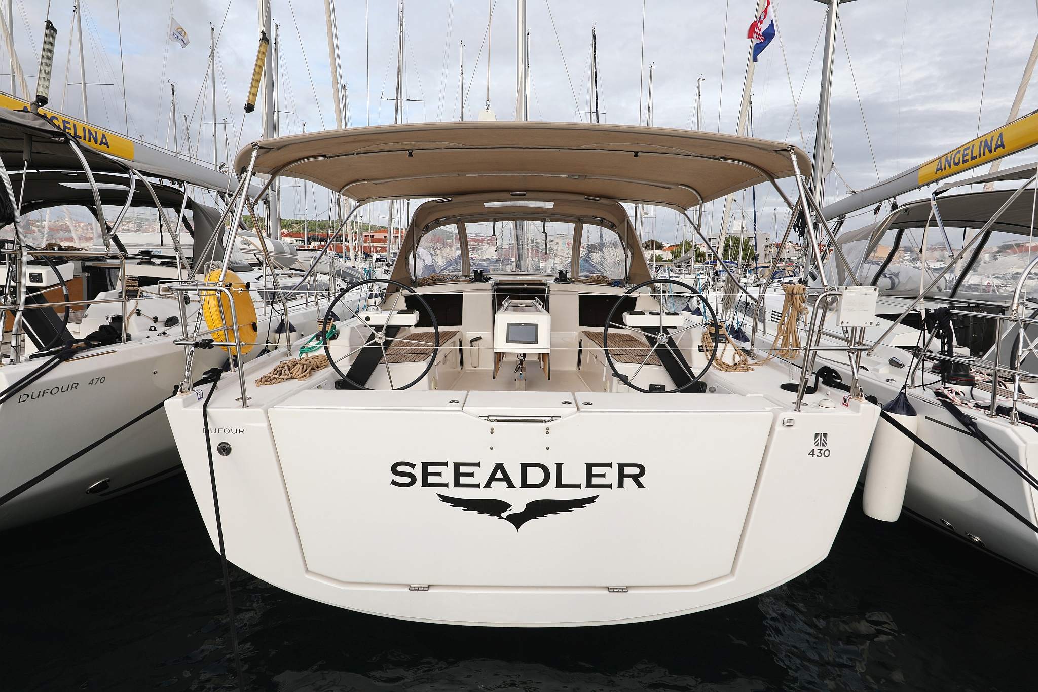 Seeadler photo 1