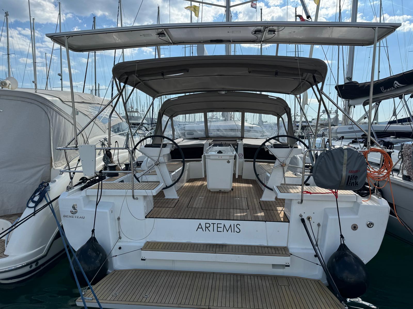 Artemis photo 1